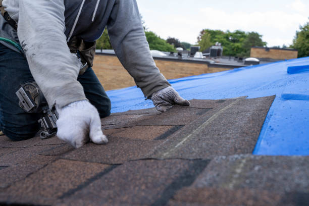 Best Roof Leak Repair  in Bull Shoals, AR